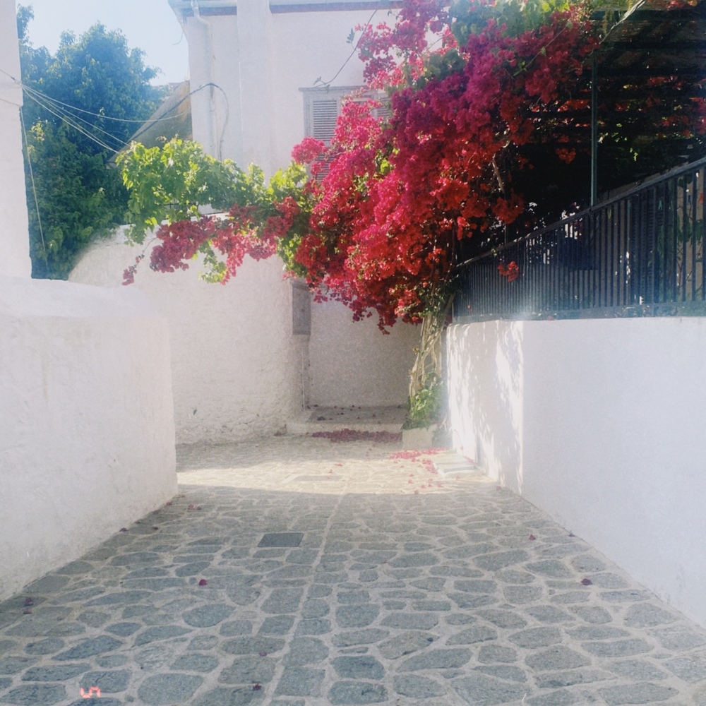 Meet your Posher, Rachel